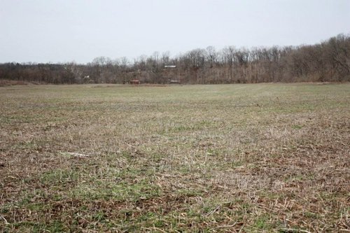 Property photo 4 - ABSOLUTE AUCTION - 298 Acres Offered in 4 Tracts